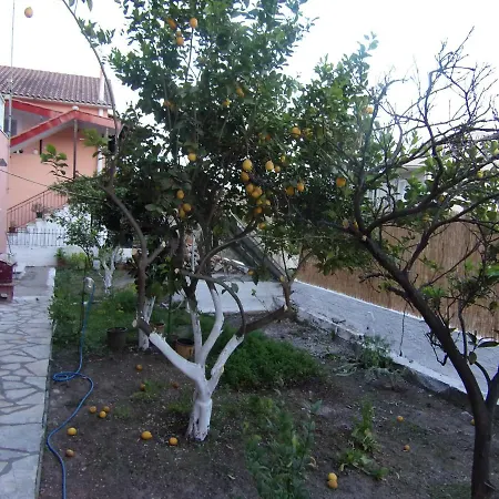 Appartement George's